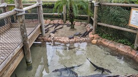 Tue 20 Dec 2022 11:06:23 AM