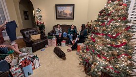 Tue 31 Dec 2024 08:47:02 PM