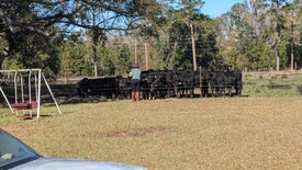 Sun 01 Dec 2024 12:28:58 PM