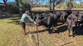 Sun 01 Dec 2024 12:32:00 PM