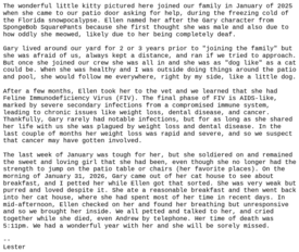 Thu 19 Feb 2026 12:00:49 PM