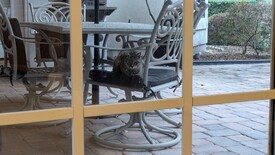 Thu 20 Feb 2025 08:14:29 AM