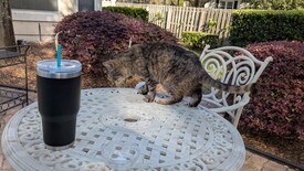 Sun 23 Mar 2025 05:19:08 PM