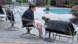 Thu 27 Mar 2025 07:23:04 PM