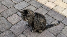 Wed 03 Sep 2025 10:49:42 AM