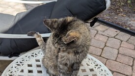 Wed 03 Sep 2025 10:50:26 AM