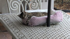 Fri 12 Sep 2025 10:46:23 AM