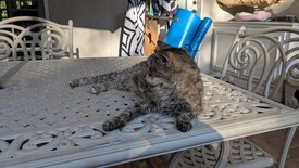 Wed 24 Sep 2025 05:40:26 PM