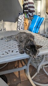 Wed 24 Sep 2025 05:41:09 PM