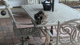 Thu 16 Oct 2025 07:58:04 AM