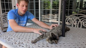 Fri 17 Oct 2025 01:02:16 PM