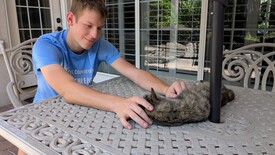 Fri 17 Oct 2025 01:02:38 PM