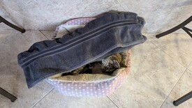 Sat 31 Jan 2026 03:18:26 PM