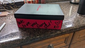 Sat 31 Jan 2026 03:29:16 PM