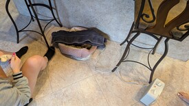 Sat 31 Jan 2026 03:31:26 PM