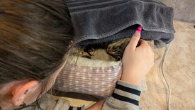 Sat 31 Jan 2026 03:34:50 PM