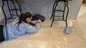 Sat 31 Jan 2026 03:41:37 PM