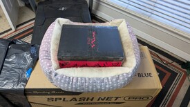 Sat 31 Jan 2026 05:30:53 PM